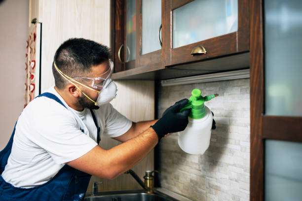 Trusted Montoursville, PA Pest Control Experts
