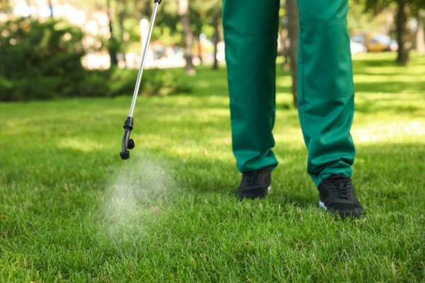 Best Pest Prevention Services  in Montoursville, PA